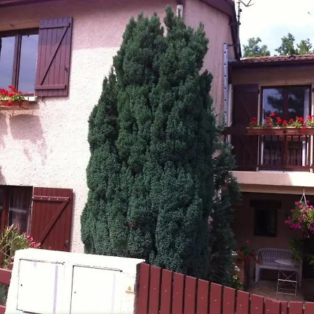 Maison Familiale Proche Dune Pyla, Plages, De Cazaux, Sites De Loisirs *