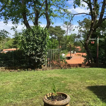 Maison Familiale Proche Dune Pyla, Plages, De Cazaux, Sites De Loisirs *