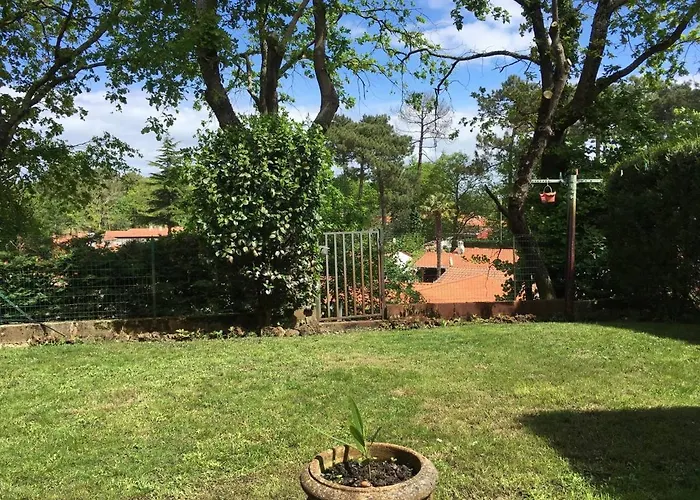 Maison Familiale Proche Dune Pyla, Plages, De Cazaux, Sites De Loisirs *